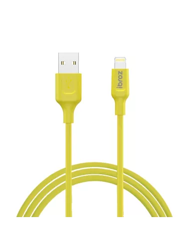 Câble iPhone, iPad, AirPod - Lightning vers USB type A - Charge et ...