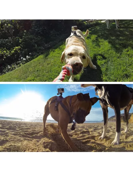 Gopro Dog Harness + Adapters | Ibroz