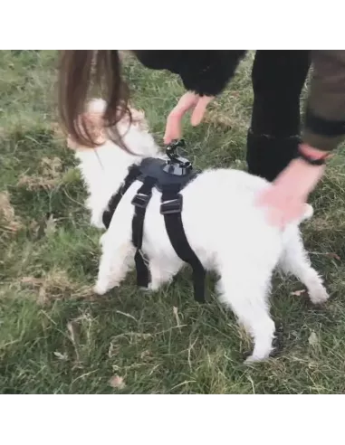 Gopro Dog Harness + Adapters | Ibroz
