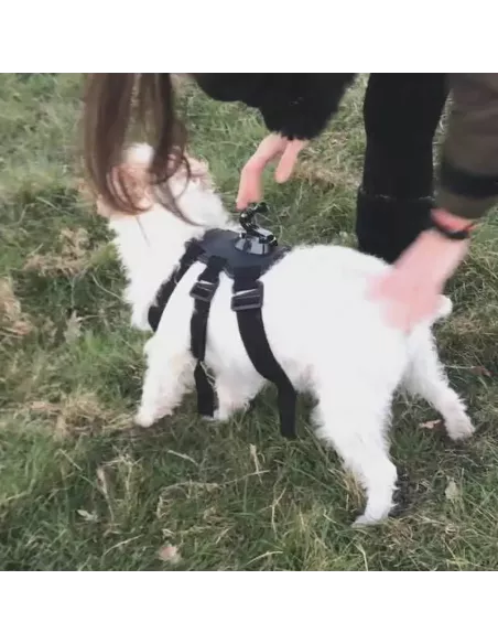 Gopro Dog Harness + Adapters | Ibroz