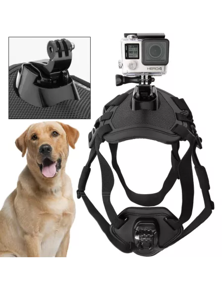 dog harness camera