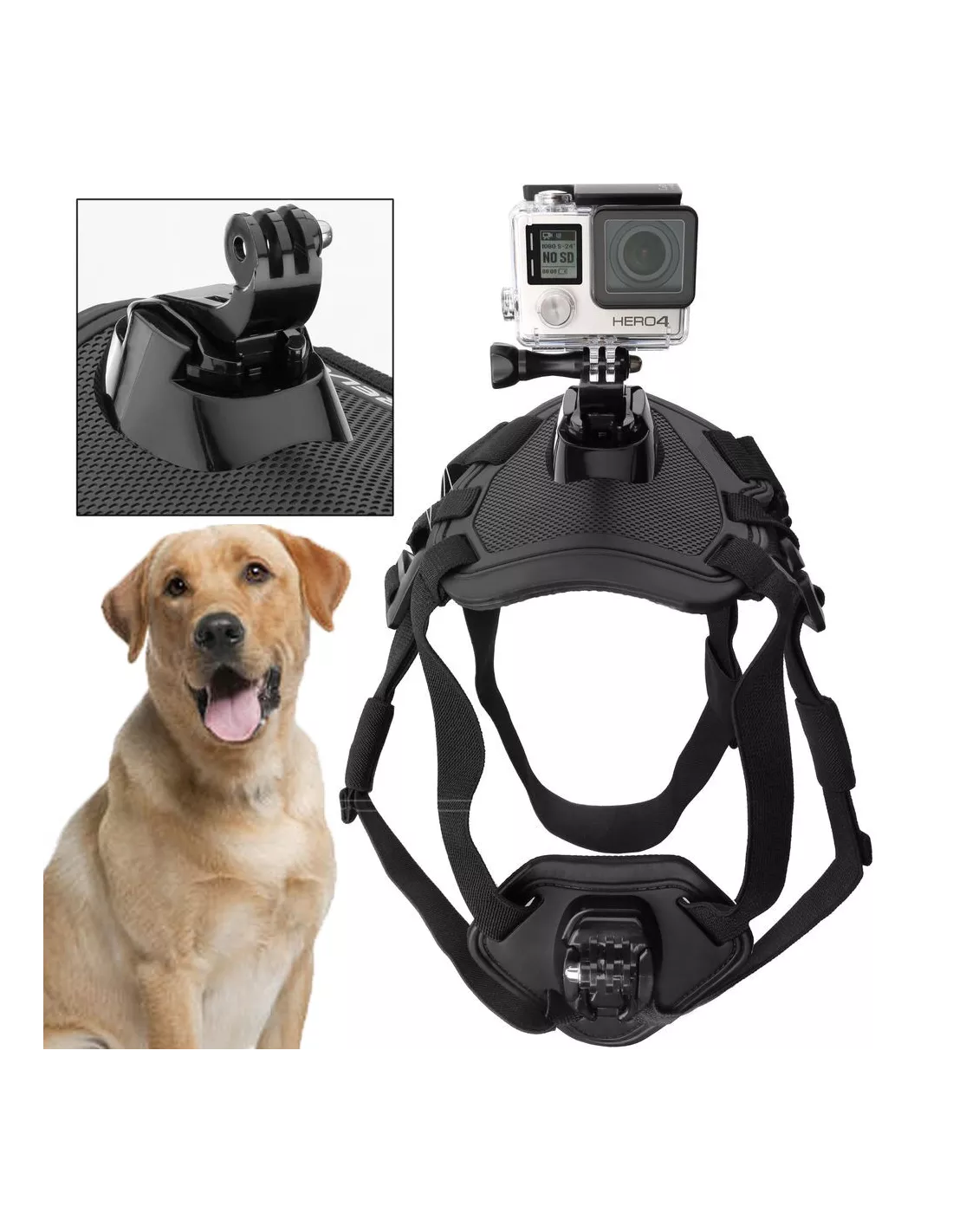 Dog gopro fashion