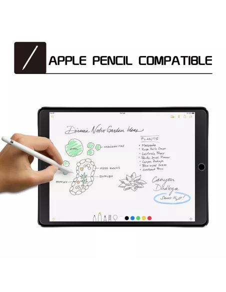 Lot de 2 Protections écran en verre trempé iPad 9,7'' (2018) - iPad...