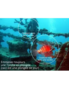 ibroz-torche-de-plongée-à-3-led-L2-6000-lumens-lumière-du-jour 2