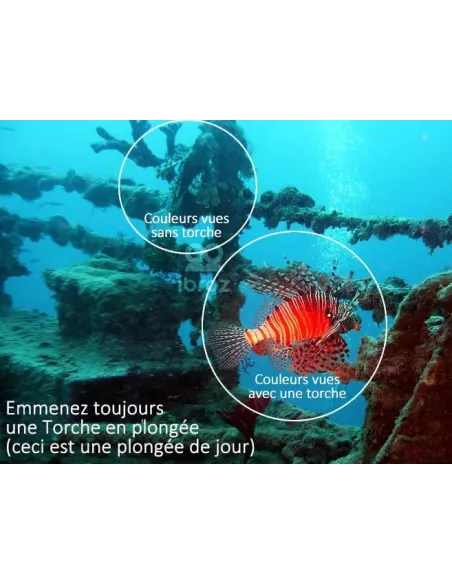 Torche de plongée 80m 3 Leds (L2) extra puissante - 6000 Lm - Lumiè...