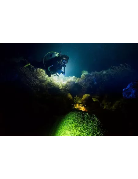 Diving torch 80m 5 Leds (L2) extra powerful - 10000 Lm - Light...