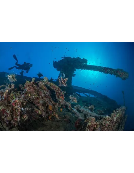 Diving torch 80m 5 Leds (L2) extra powerful - 10000 Lm - Light...