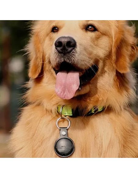 MiLi MiTag tracker + Leather key case - Black | Ibroz