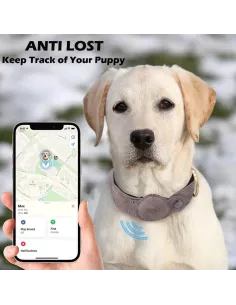MiTag & AirTag Compatible Dog Locator Collar - Black | ... 2