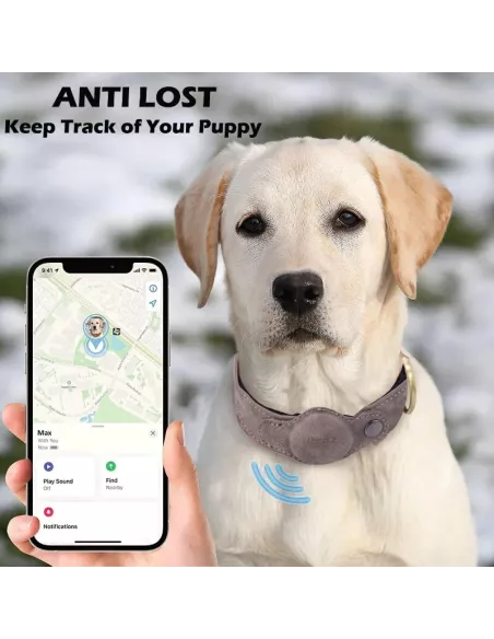 MiTag & AirTag Compatible Dog Locator Collar - Black | ...