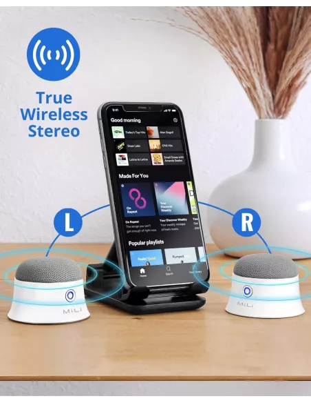 MiLi Mag SoundMate Enceinte Bluetooth Magnetique - Black | Ibroz