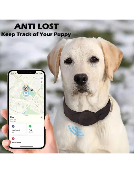 MiTag & AirTag Compatible Dog Locator Collar - Black | ...