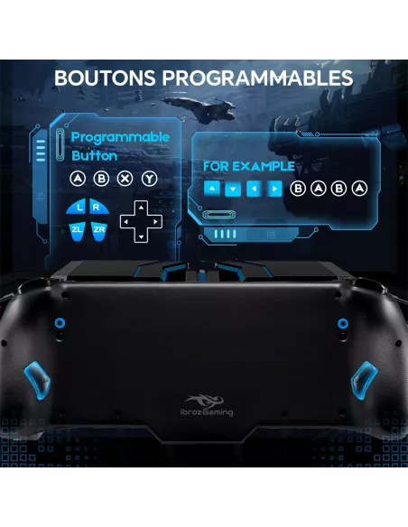 Contrôleur filaire ergonomique avec Gyro 6 axes pour Nintendo Switc...