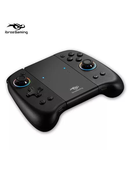 copy of Contrôleur filaire ergonomique avec Gyro 6 axes pour Nintendo Switch/OLED