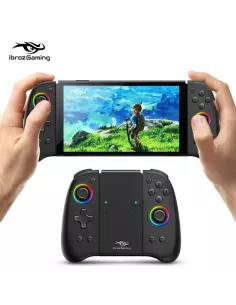 copy of Contrôleur filaire ergonomique avec Gyro 6 axes pour Nintendo Switch/OLED 2