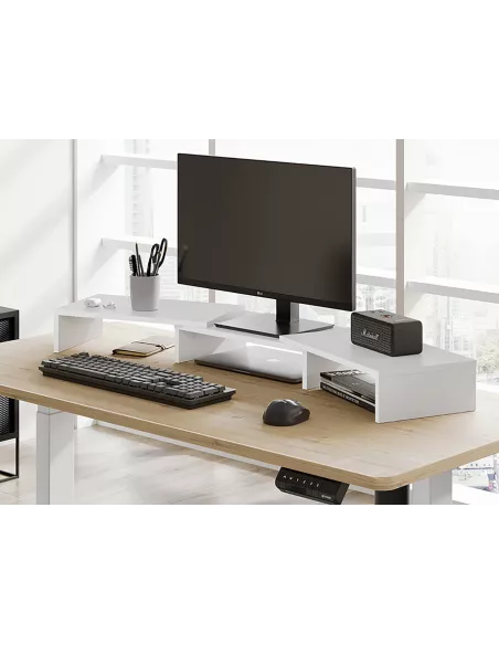 Desk stand for dual monitor PC MAC | Ibroz