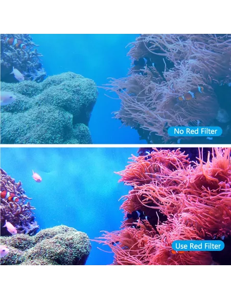 50m Waterproof Dive Housing GoPro Hero 8 + Filters | Ibroz